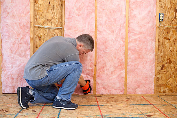 Best Crawl Space Insulation  in Mount Ivy, NY